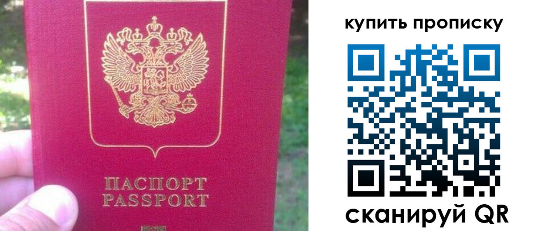 временная регистрация для школы в Чапаевске